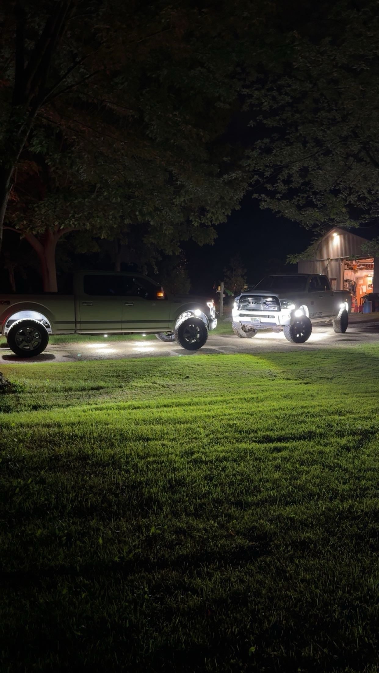 219 LED