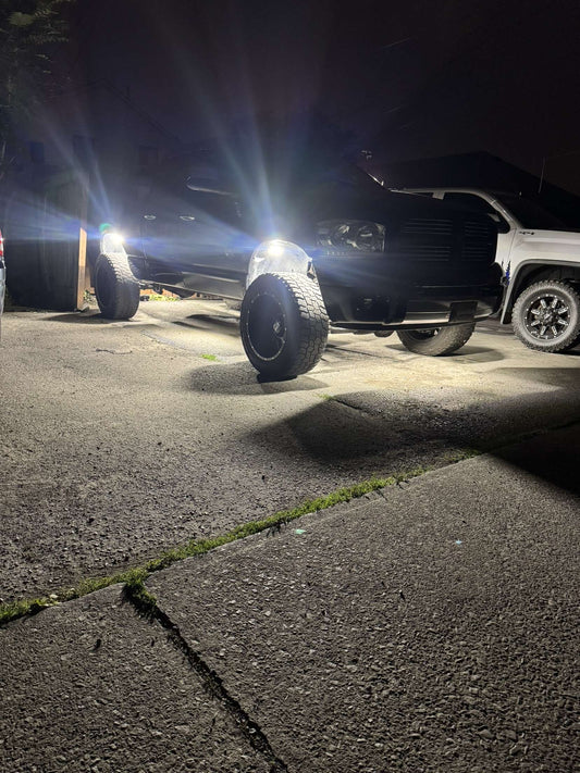 219 LED